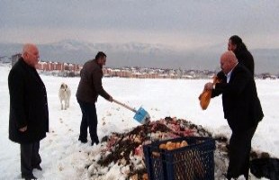 Tatvan'da yaban ve sokak hayvanları için belirli yerlere yiyecek bırakıldı